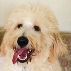 Meet your Posher, Tonya